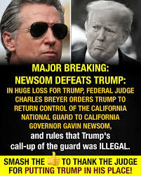 Donald Trump's opinion