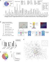 Для просмотра онлайн кликните на видео ⤵. A Human Igsf Cell Surface Interactome Reveals A Complex Network Of Protein Protein Interactions Abstract Europe Pmc