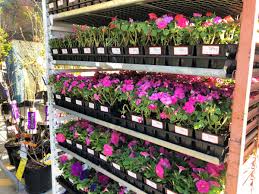 We did not find results for: Home Depot Spring Black Friday Sale Live Now 25 Pavers 2 Mulch More