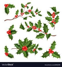 Vector Realistic Hand Drawn Holly Ilex Branch With Berry And Leaves Mistletoe Set Christmas New Year Christmas Drawing Mistletoe Drawing How To Draw Hands