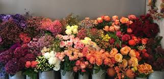 Check spelling or type a new query. Vert Passion Fleuriste Photos Facebook