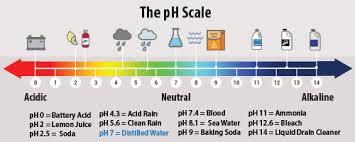 designing a color changing paint using ph activity