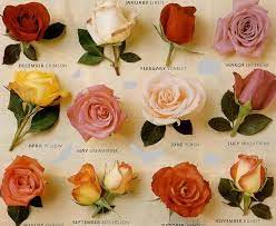 Roses List Of Names Of Roses Types Of Roses Flowers Birth Month Flowers