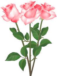 roses transparent clip art image gallery yopriceville high quality images and transparent png free clipart clip art free clip art art images
