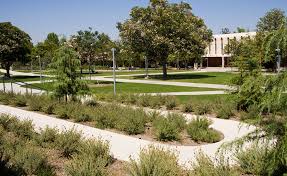 Los angeles (united states) city skyline vector background. Valley College Enty And Main Quad Lgla Institutional Landscaping