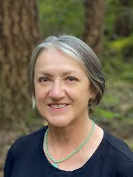 About Pacific Rim College Online