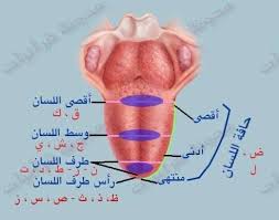 لسان مستفل (ث، ذ)