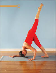 Ana Forrest 9 Page Special On Yoga For Beginners Yoga Poses For Intermediates And Yoga For Advanced Yogis Yoga For Beginners Yoga Postures Yoga Poses