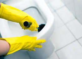 Hydrogen Peroxide Does More Than Disinfect Here Are 15 Ways It Will Revolutionize How You Clean Toilet Cleaning Cleaning With Hydrogen Peroxide Bathroom Cleaning Hacks