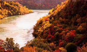 Explore the untamed beauty of niagara glen. Niagara Glen Hiking Trails