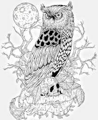 Owls coloring pages are suitable for children of any age. Pin On Patterns
