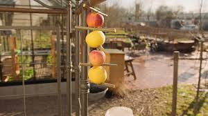 Querbeet Garten Tipp Apfel Fur Vogel Youtube Winterharte Krauter Garten Apfel