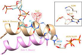 I will continue adding more textures to the pack when the faithful 64x project continues it's development because as of right now i think i have covered everything from the pack that needed normal and specular maps. Molecular Basis For The Faithful Replication Of 5 Methylcytosine And Its Oxidized Forms By Dna Polymerase B Journal Of Biological Chemistry