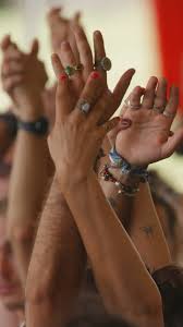 Image result for Ozoroa bredoi