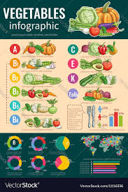 Healthy Vegetables And Vitamins Infographics
