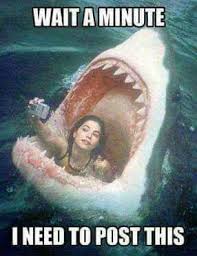 Jaws Selfie Time Funny Selfies Funny Picture Jokes Funny Animal Jokes