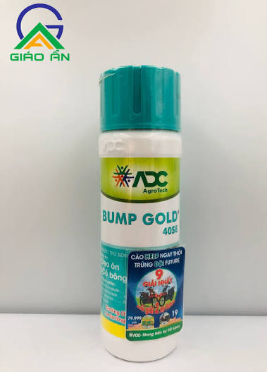 Bump gold 40SE