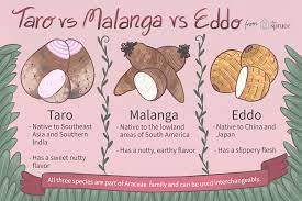 The Difference Between Taro Malanga And Eddo Root