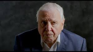 A celebration of our Ambassadors