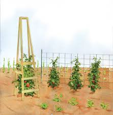 Alibaba.com offers 2,917 diy pet cage products. The Best Homemade Tomato Cages Organic Gardening Mother Earth News