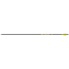 Providing speed, stability and strength, thanks to gold tip's smart carbon technology. Gold Tip Hunter Pro Arrow 400 4 Fletch 6 Pk