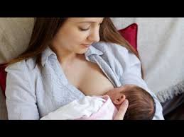 Image result for মায়ের ‍বুকের শালদুধ