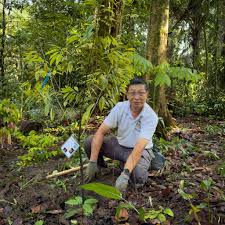 Image result for Farquharia