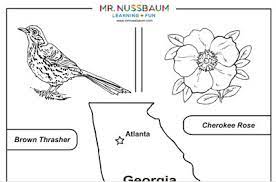 This georgia state symbols printable allows students to color its state bird, flower, tree, and license plate. Mr Nussbaum Georgia State Symbols