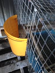 Buy small animals hay rack and get the best deals at the lowest prices on ebay! Recycle And Re Use For Rabbit Hay Feeders Modern Missouri Pioneers