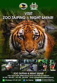 Dah die asyik dok berzikir je nak pegi zoo, so layankan je la. Zoo Taiping Night Safari Home Facebook