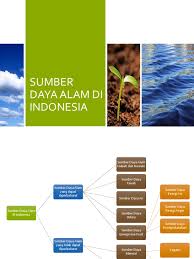 Materi geografi kelas 11 semester 2 kurikulum 2013 revisi pdf. Geografi Kelas Xi Sma Materi Sda Pdf