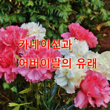 어버이날 선물로 준비한 카네이션 앙금쿠키 영상이에요. ì¹´ë„¤ì´ì…˜ê³¼ ì–´ë²„ì´ë‚ ì˜ ìœ ëž˜