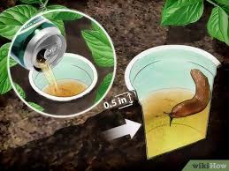 We did not find results for: 4 Ways To Get Rid Of Garden Slugs Wikihow