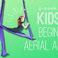 Learn to Fly on Silks,