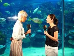 Helin Avsar Ve Fulya Zenginer Unluler