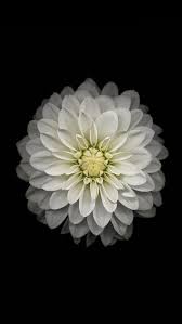 Pin On Wallpapers