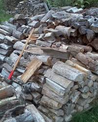 Great for starting fires or keeping those damp logs burning. Best Types Of Hardwood Trees To Use For Firewood Oak Cherry Sassafras Locust And Ash Dengarden Home And Garden
