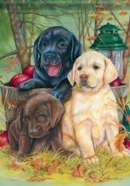 Yellow Lab Accessories Amazon Com Yellow Chocolate Black Lab Puppy Double Sided Labrador Dog Paintings Dog Art Dog Drawing