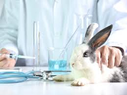 We have a clear commitment: Do Companies Still Test Toiletries And Household Cleaners On Animals And How Can You Tell The Independent The Independent