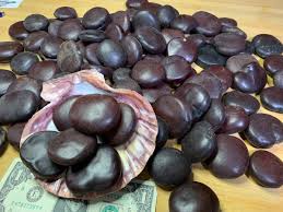 Image result for Entada gigas