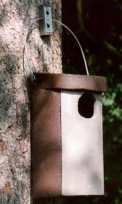 Schwegler Rauhfusskauzhohle Hohltaubenhohle Nr 4 Vogelhaus Nistkasten Vogel Und Naturschutzprodukte Einfach Online Kaufen