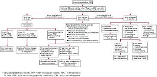 66 Thorough Anemia Flow Chart Mcv