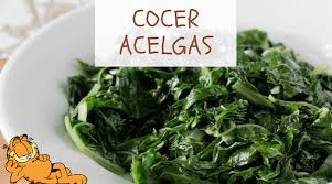 Por un lado las hojas, que se preparan de manera similar a. Cocer Acelgas Como Hervir El Tiempo Perfecto