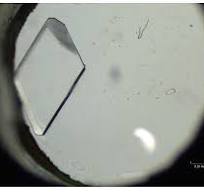 Microgravity-Grown Crystals as Seeds for Pharmaceutical ...