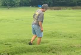 alabama woman 'surfs' on lawn after