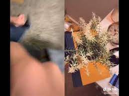 Apr 18, 2021, 3:23 pm. How To Clean Your Room Tiktok Best Way Ever Youtube