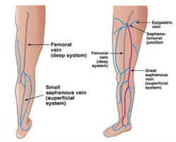 Pin On Ultrasound