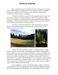 Padurile de conifere ocupa suprafete intinse in nordul europei, asiei si americii de nord. Doc Paduri De Conifere Adriana Clim Academia Edu