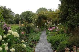 Nur fotos, vektoren oder psd anzeigen. Bilder Garten Simon Wilhelmshaven Breddewarden Het Tuinpad Op In Nachbars Garten