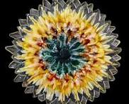 How to make realistic 3D flowers using resin?